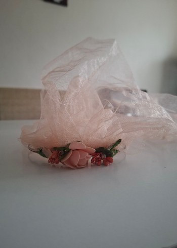 Duvaklı taç - Görsel 2