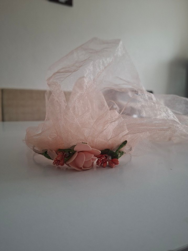 Duvaklı taç - Görsel 2