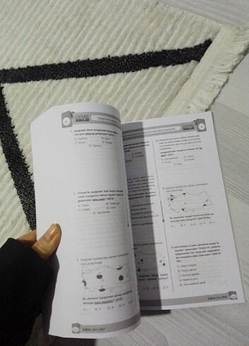  kpss 2024 çıkmış sorular