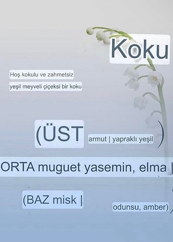 Lavanta Siyahı Saç Boyası 3CLB - Görsel 5