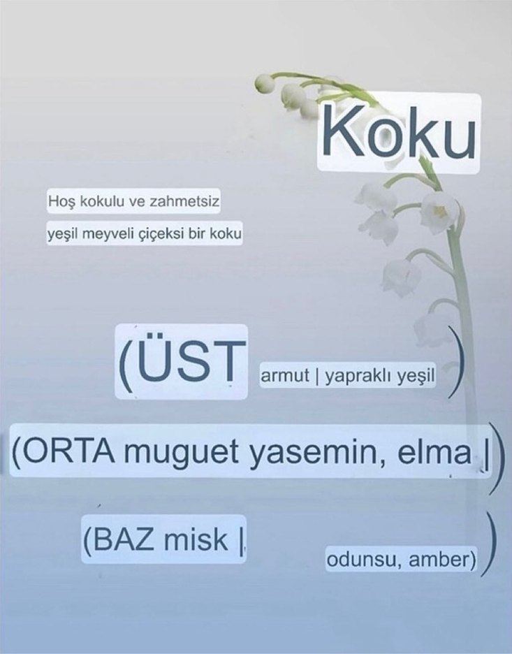 Lavanta Siyahı Saç Boyası 3CLB - Görsel 5