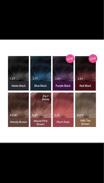 EZN Pudding Hair Color-Plum Rose - Görsel 5