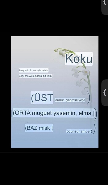 Mise en Scene Hello Cream-10WC - Görsel 8