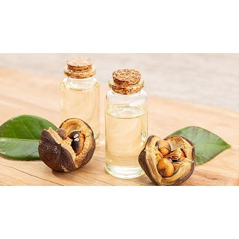 Beden Tsubaki Premium MoistRepair Sampuan-490mL