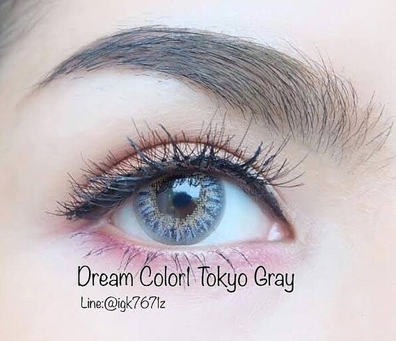Dream Color 1-Tokyo Gray