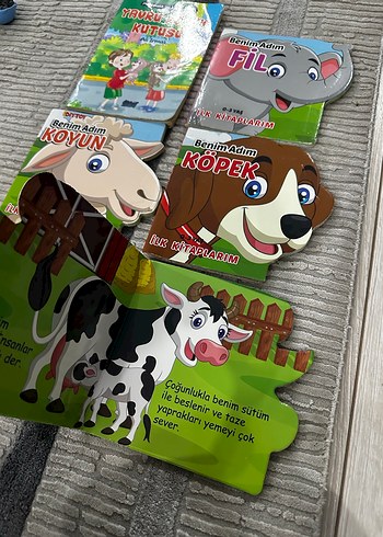 Benim Adım Hayvanlar İlk Kitaplar Seti - Görsel 3