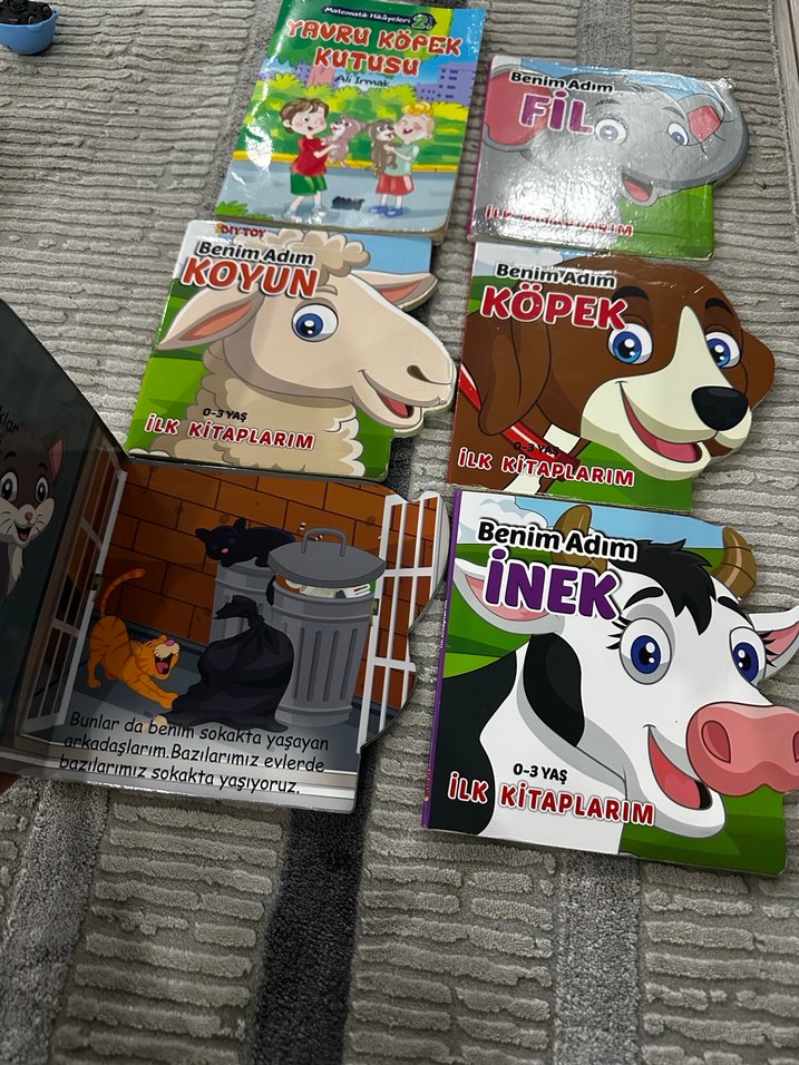 Benim Adım Hayvanlar İlk Kitaplar Seti - Görsel 2