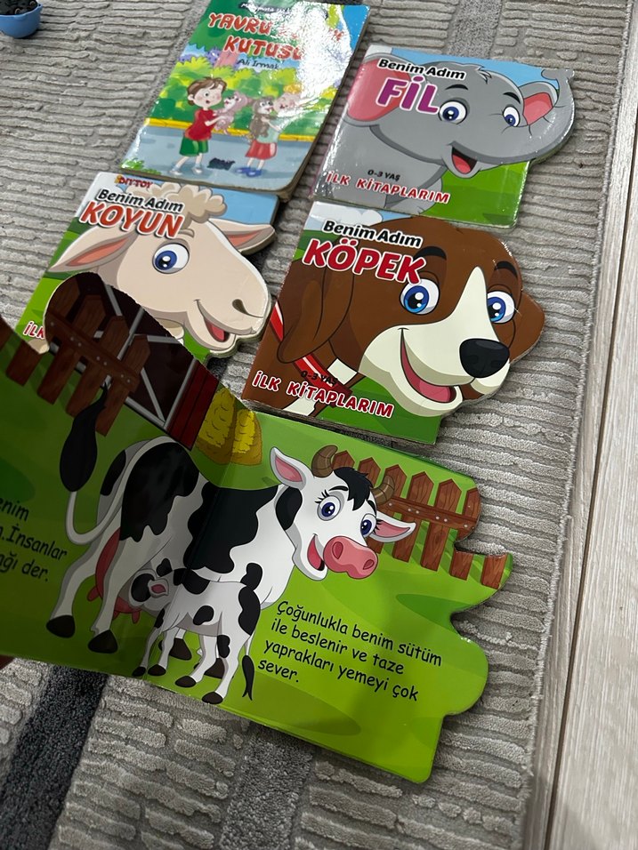 Benim Adım Hayvanlar İlk Kitaplar Seti - Görsel 3