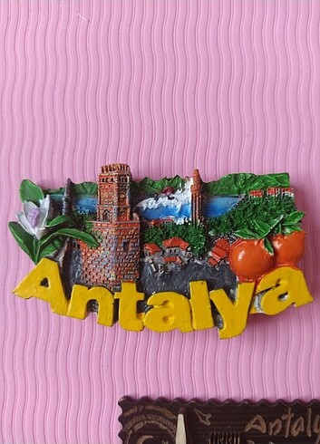 Yurtdışı yurtiçi magnet koleksiyonu - Görsel 6