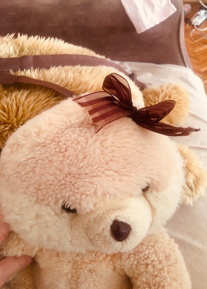 Peluş oyuncak ayı - Görsel 2