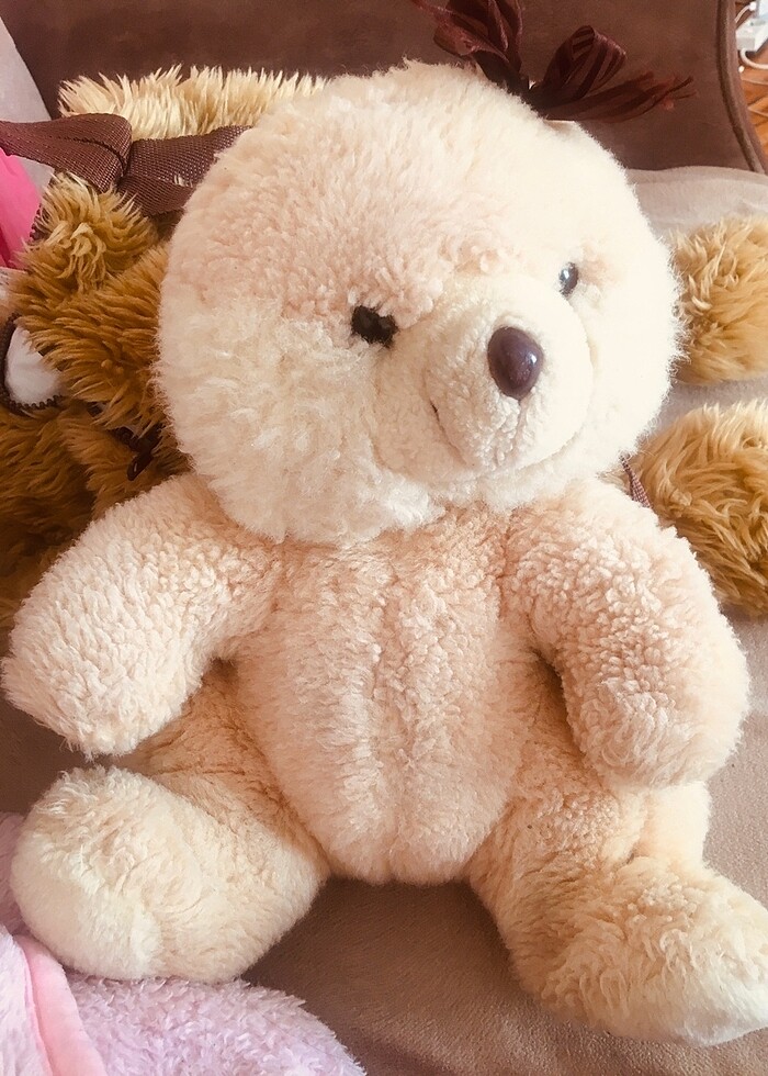 Peluş oyuncak ayı - Görsel 4