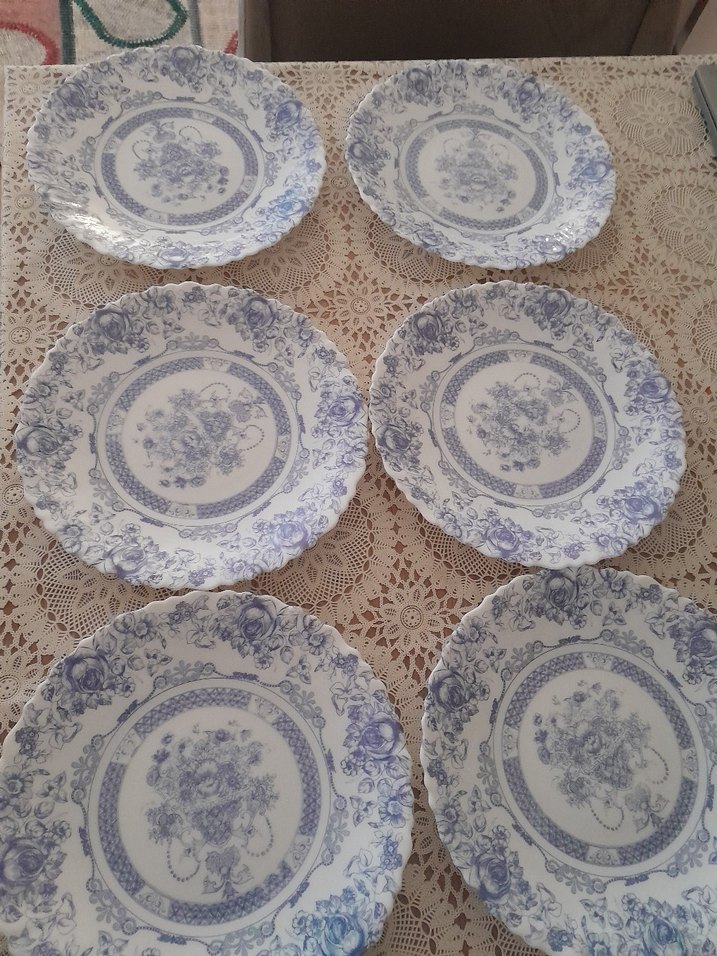 arcopal france mavi desenli Yemek Tabağı - Görsel 2