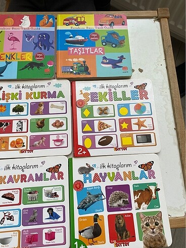  Beden Eğitici kitaplar