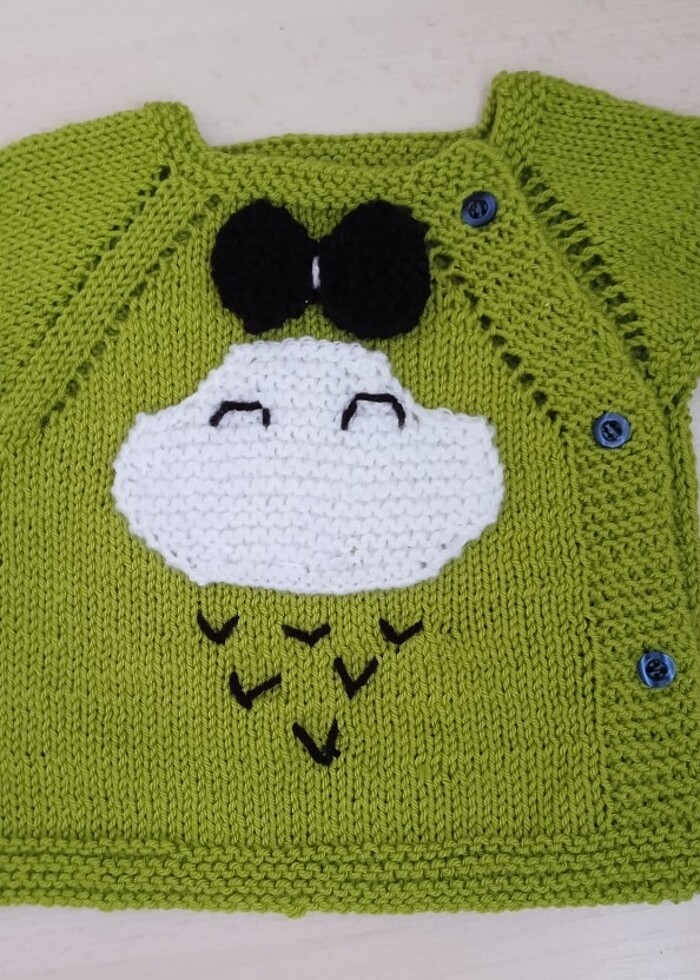 El örgüsü yenidoğan yelek  - Görsel 2