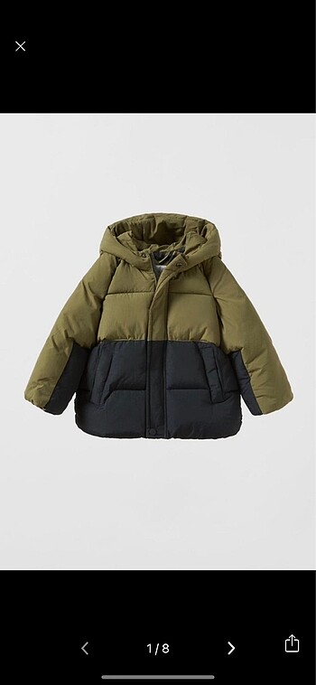 Zara bebek mont