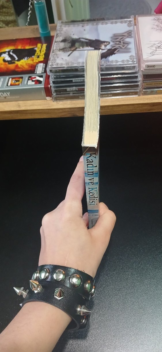 Kadın ve Kedisi Manga Gerekli şeyler - Görsel 4