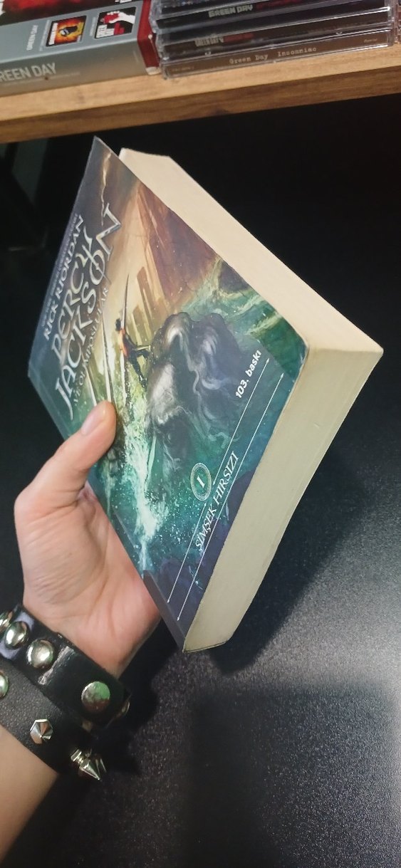 Percy Jackson ve Olimposlular - Şimşek Hırsızı - Görsel 5