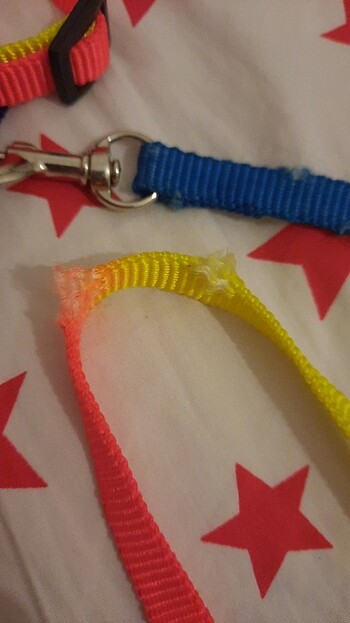 Kedi tasması renkli - Görsel 3