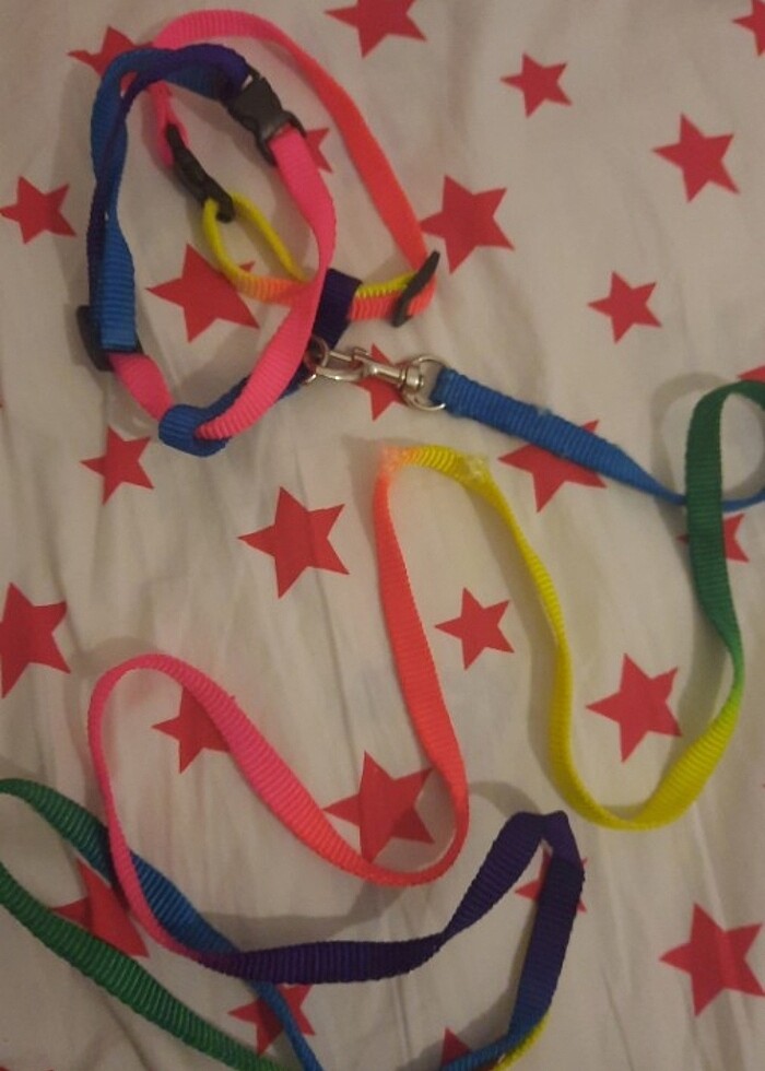 Kedi tasması renkli - Görsel 2