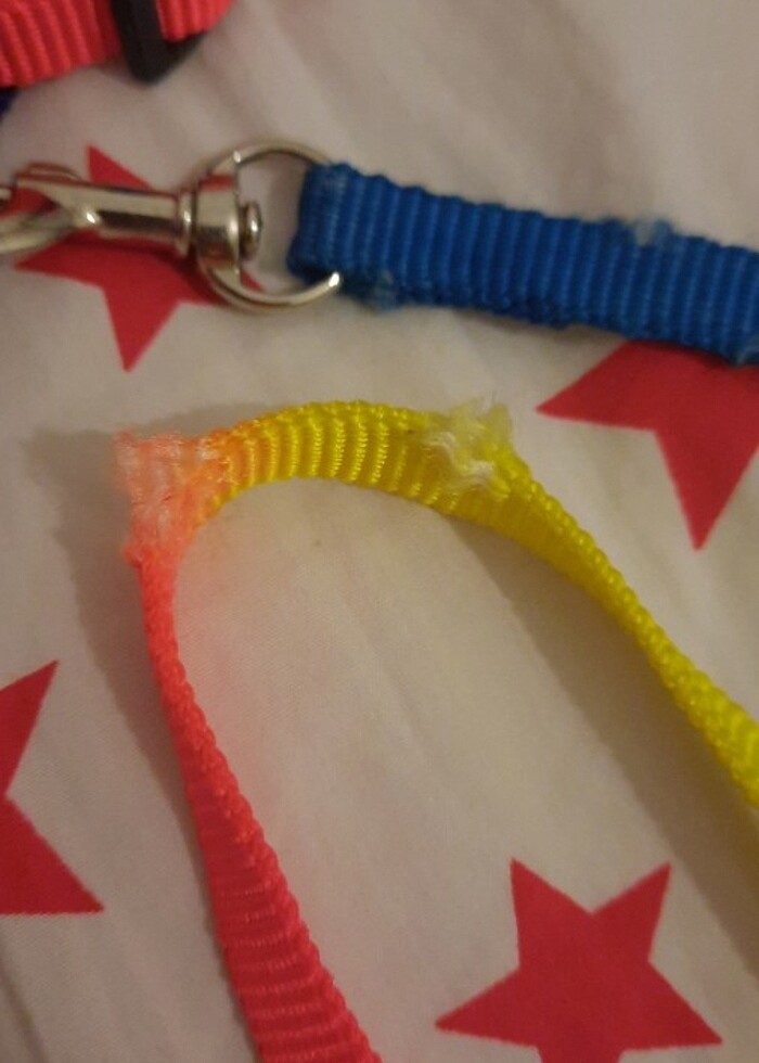 Kedi tasması renkli - Görsel 3