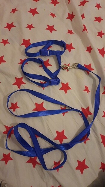 Kedi tasması mavi - Görsel 2