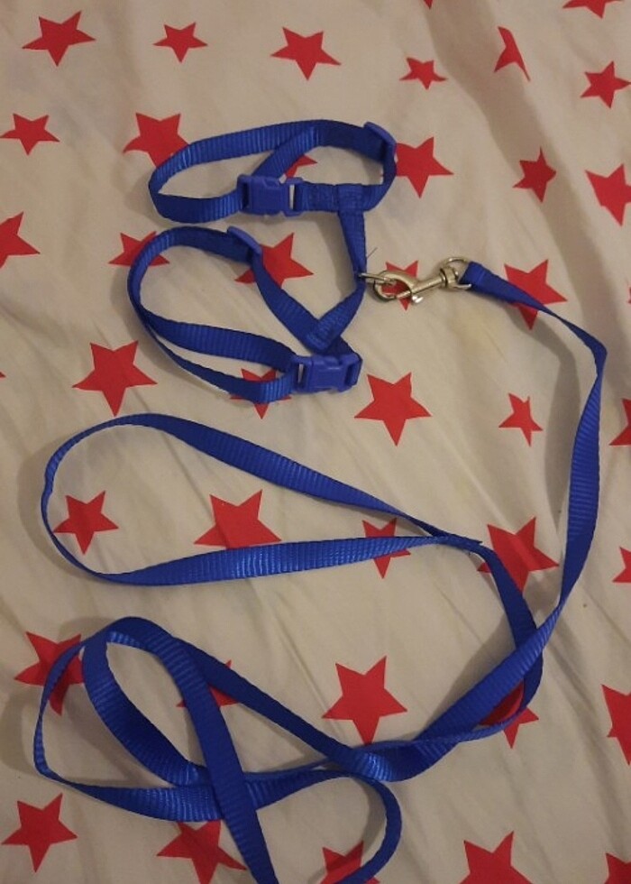 Kedi tasması mavi - Görsel 2