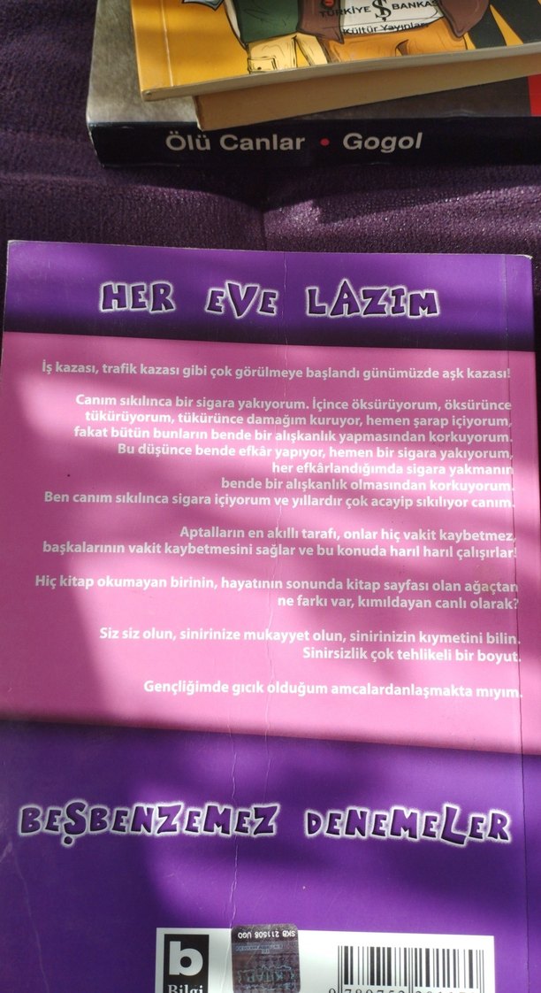 Eşeğin Fikri - Ferhan Şensoy - Görsel 2