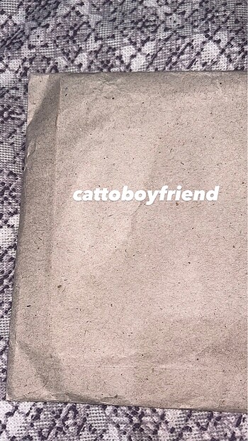 cattoboyfriend