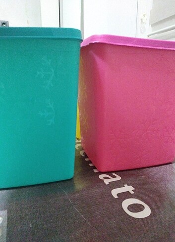 Hobby Life Alaska Saklama Kabı  - Görsel 3