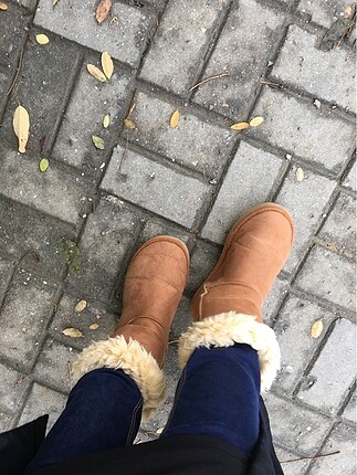 Ugg Bot