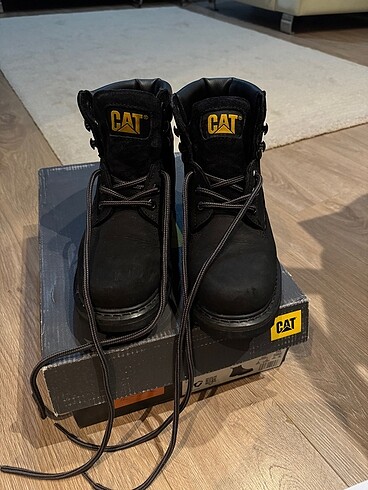 Cat CAT Bot