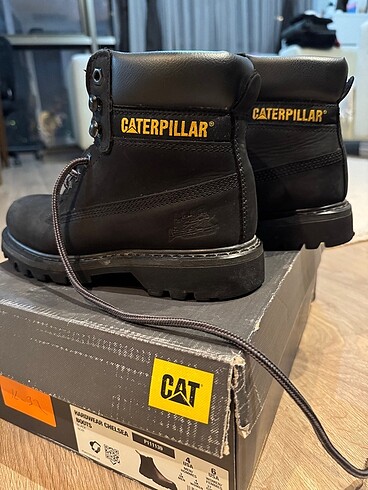 37 Beden CAT Bot