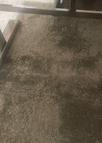 Diğer 6 m2 kalın Gri Desensiz halı