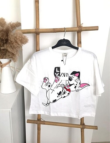Zara T-shirt