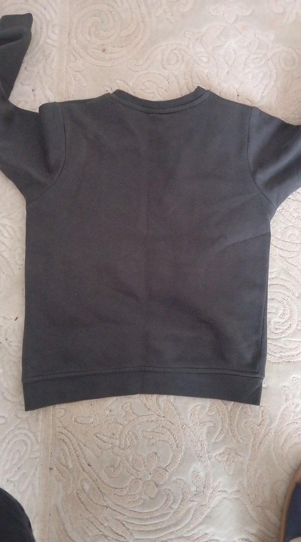 Erkek Çocuk Gri Baskılı Sweatshirt - Görsel 2