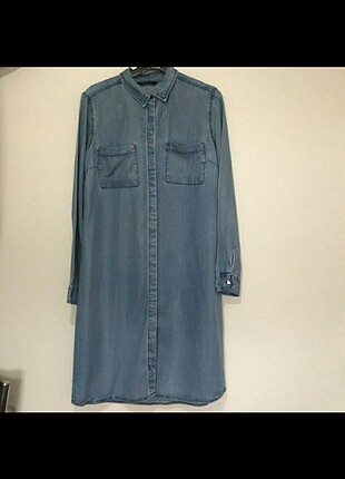 Kot Tunik