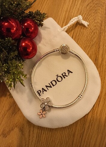 Pandora askina 
