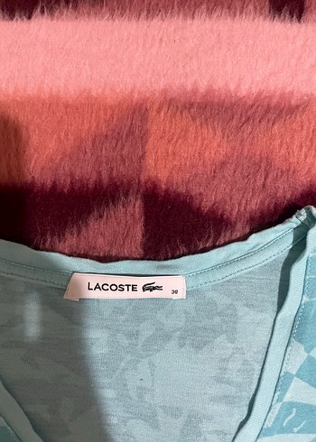 38 Beden turkuaz Renk LACOSTE TİŞÖRT