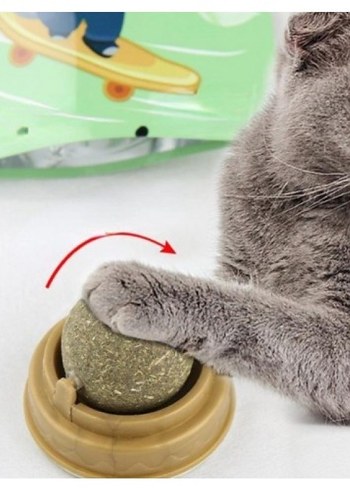 Kedi Nanesi (Catnip) Oyun Topu - Görsel 4