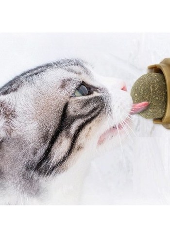 Kedi Nanesi (Catnip) Oyun Topu - Görsel 3