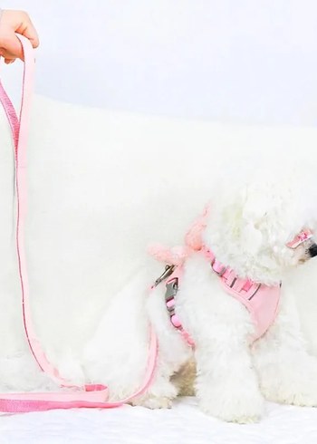 Peluş Ayıcıklı Göğüs Gezdirme Tasması Seti - Görsel 4