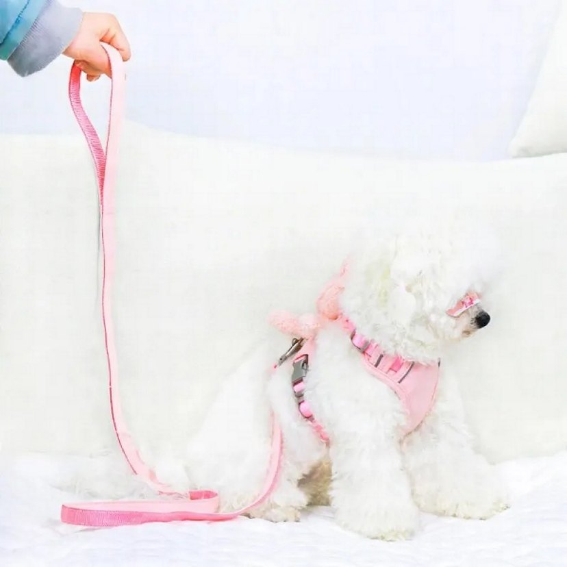 Peluş Ayıcıklı Göğüs Gezdirme Tasması Seti - Görsel 4