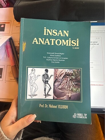 ANATOMİ