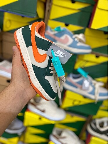DUNK LOW PRO
