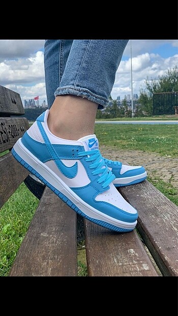 DUNK LOW PRO