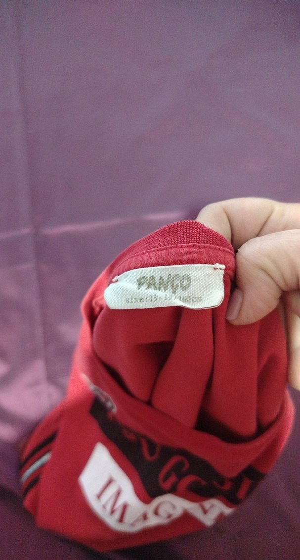 Kız Çocuk Kırmızı Baskılı Tişört - Görsel 5