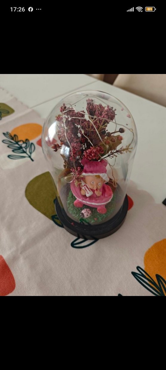 Pembe Figürlü Dekoratif Fanus - Görsel 2