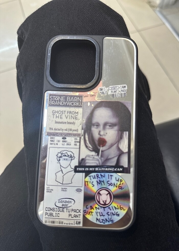 13 pro Telefon kılıfı siyah - Görsel 3