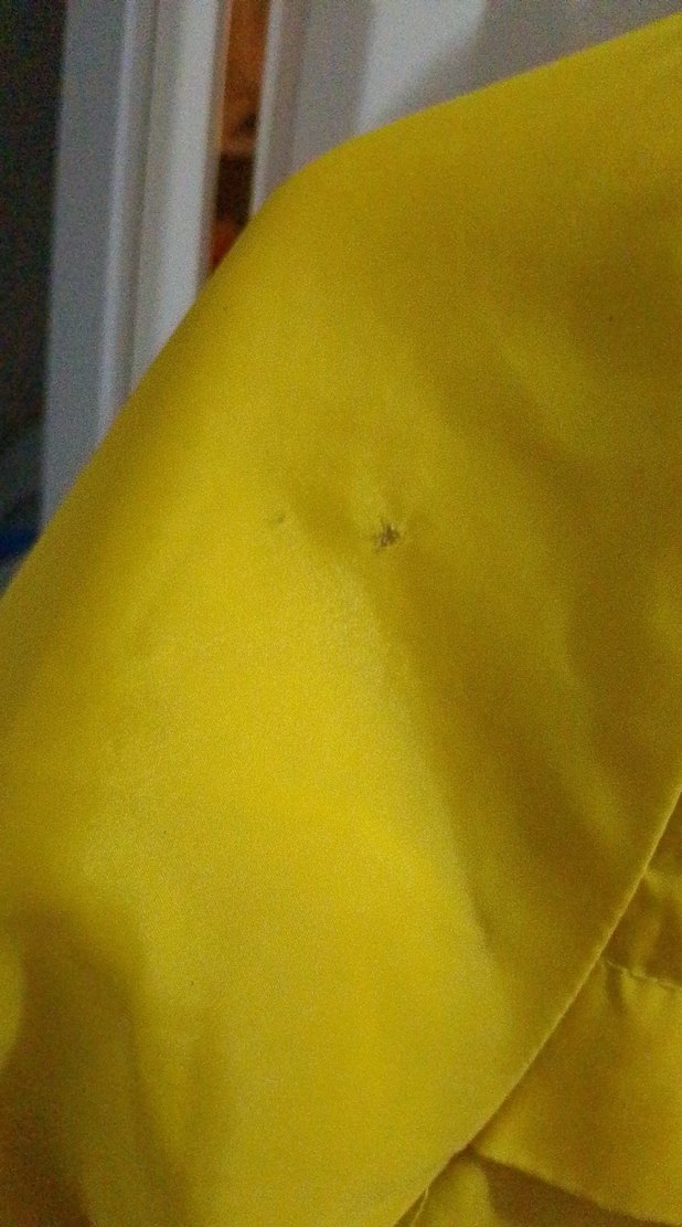 Sarı Fermuarlı Erkek Çocuk Mont - Görsel 3