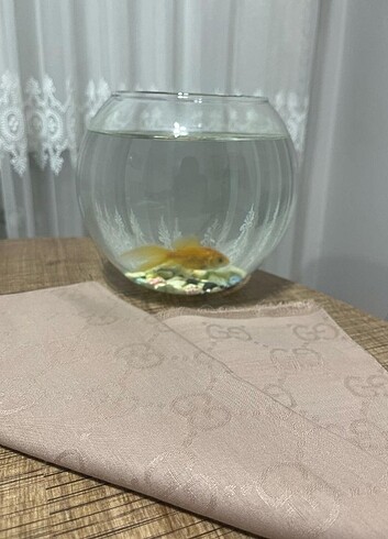 Jakar şal 